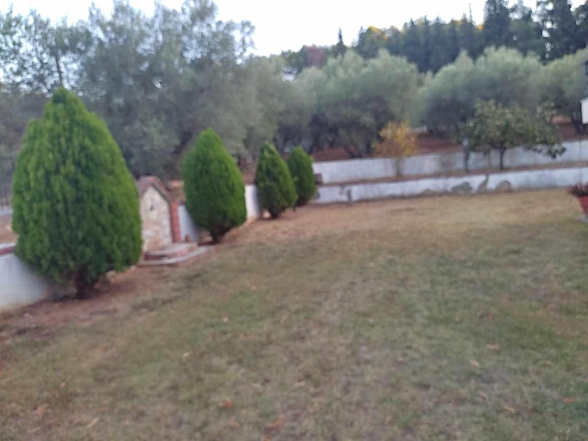 Elaiones House Appartamento Salonicco