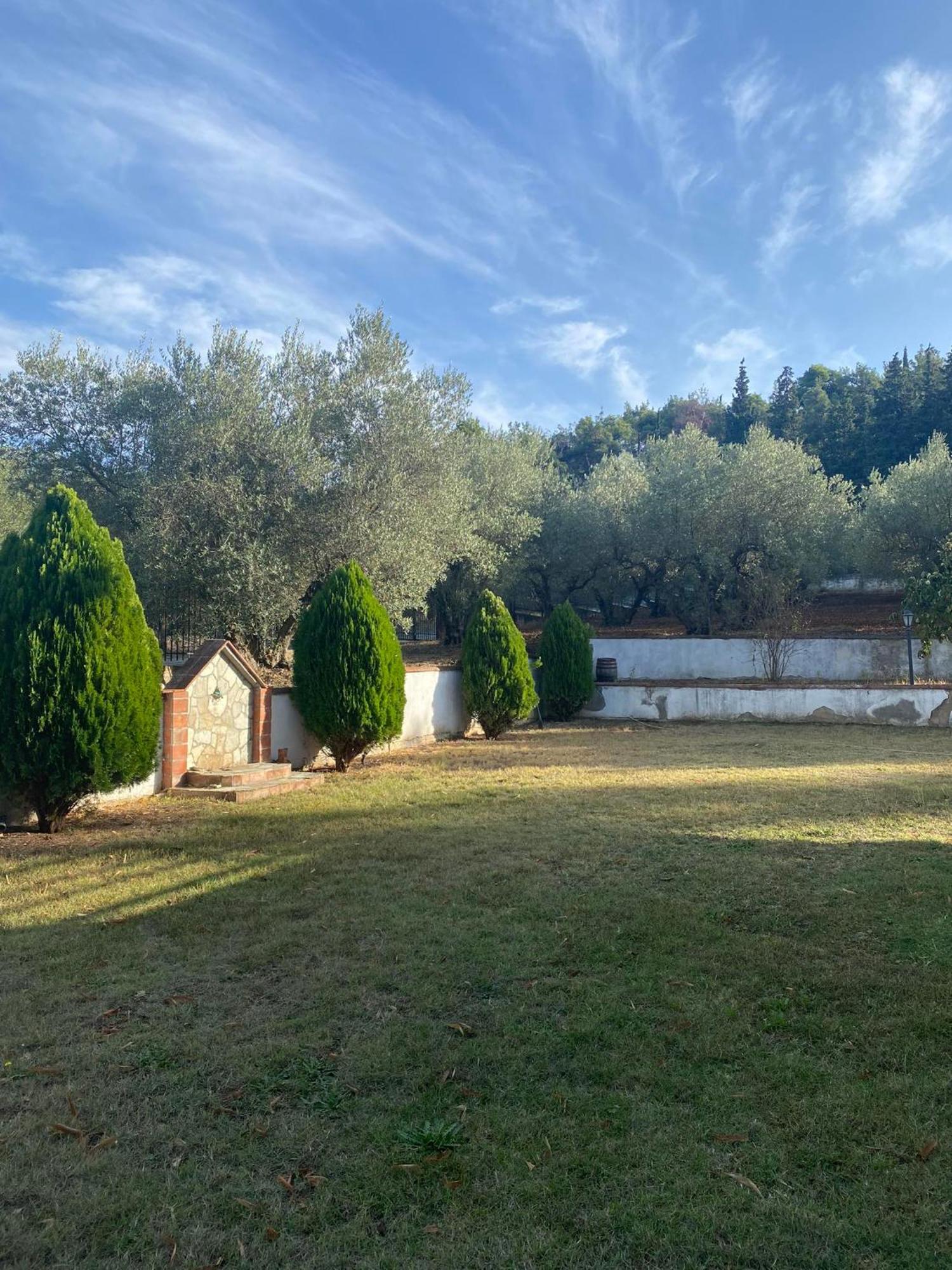 Elaiones House Appartamento